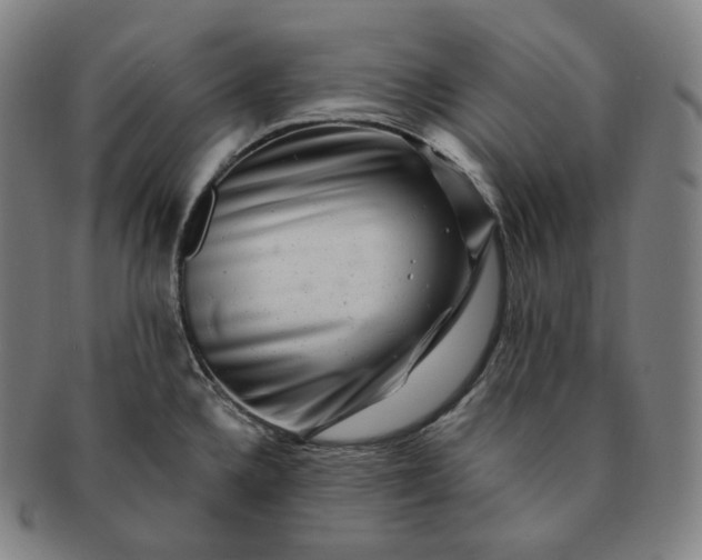 X0000091291336200708241020