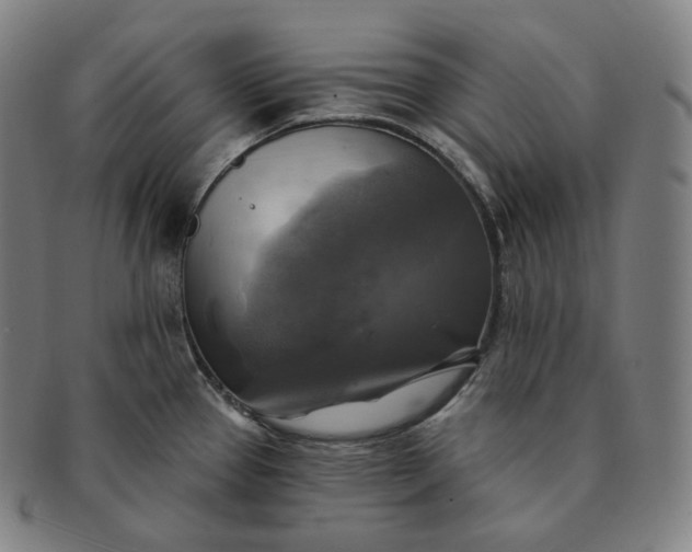 X0000091291337200708241020