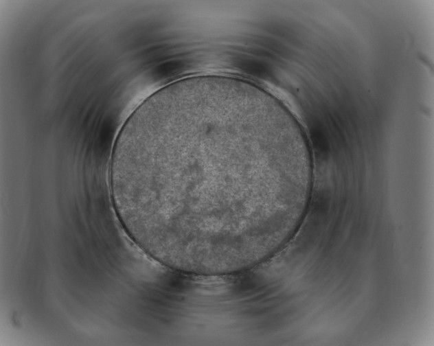 X0000091291338200708241020