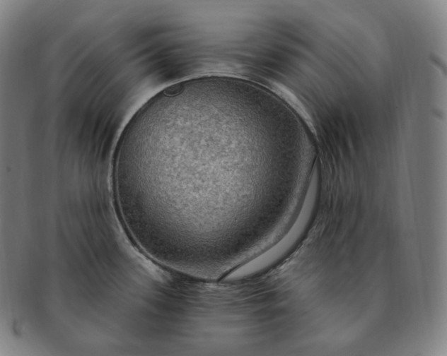 X0000091291339200708241020