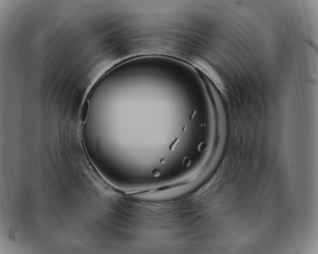 X0000091291340200708241020