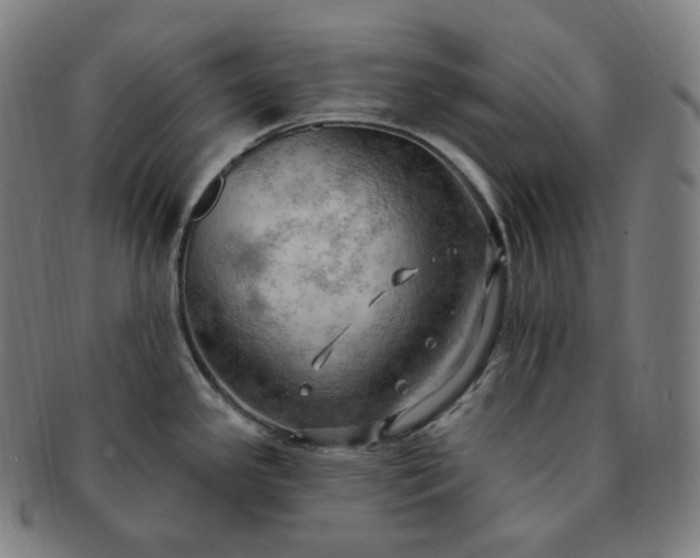 X0000091291341200708241020