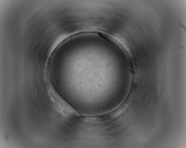 X0000091291342200708241020