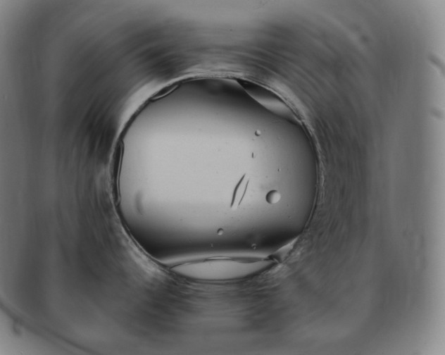 X0000091291344200708241020