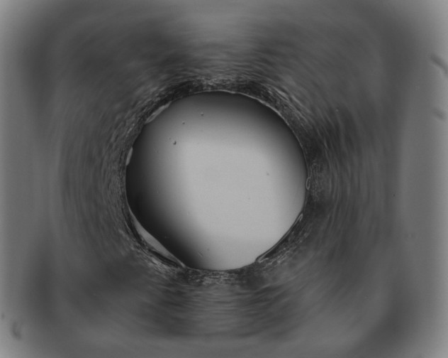 X0000091291345200708241020