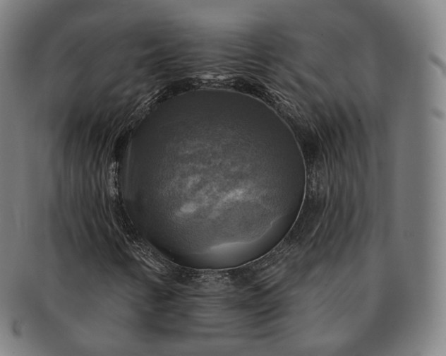 X0000091291346200708241020