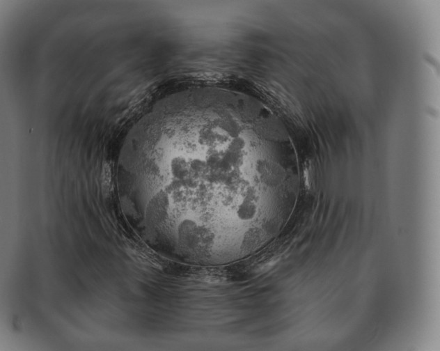 X0000091291347200708241020