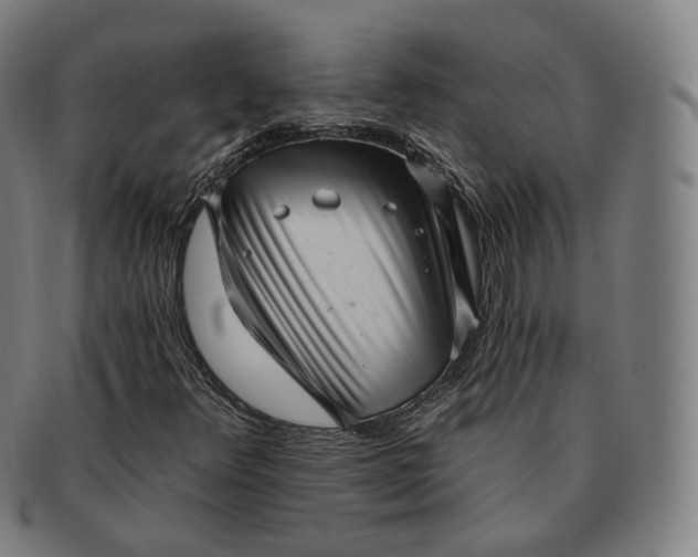 X0000091291348200708241020