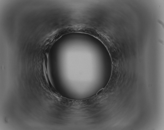 X0000091291349200708241020