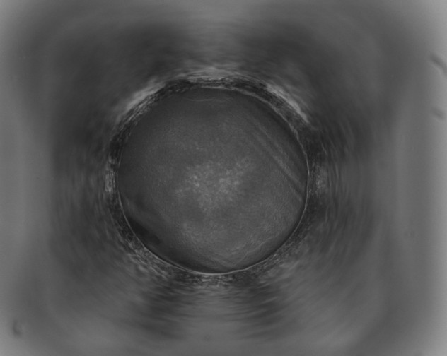 X0000091291350200708241020