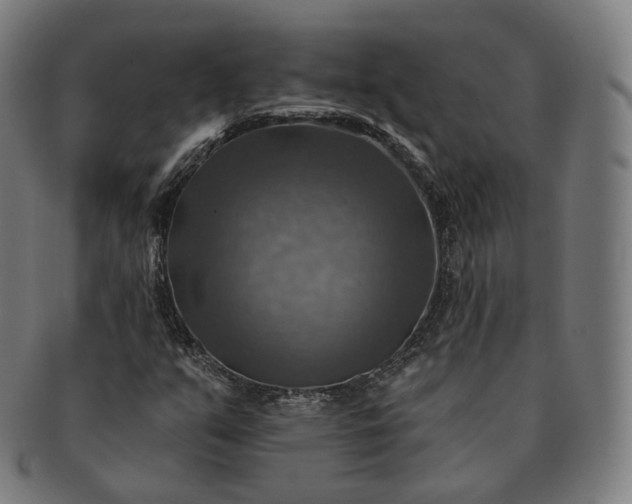 X0000091291351200708241020