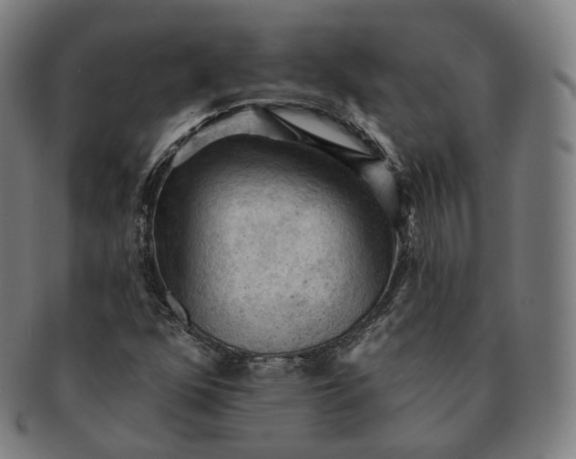 X0000091291352200708241020