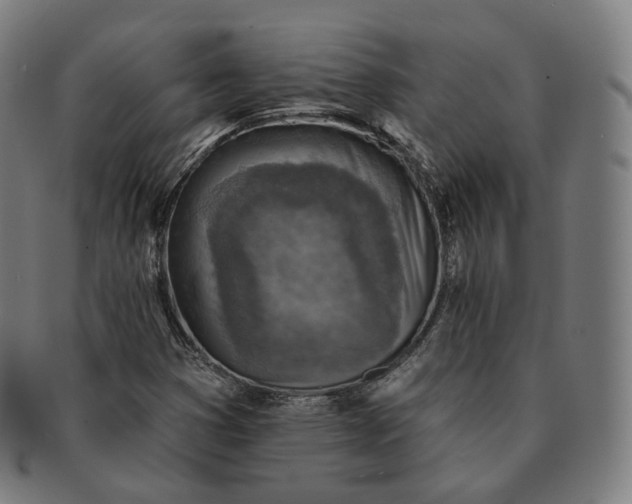 X0000091291353200708241020