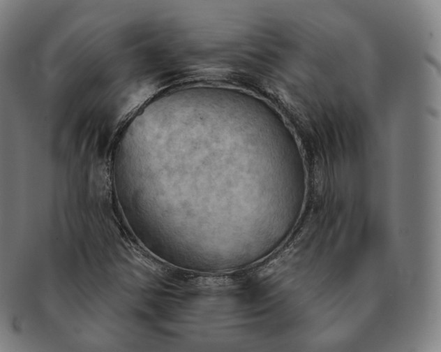 X0000091291354200708241020