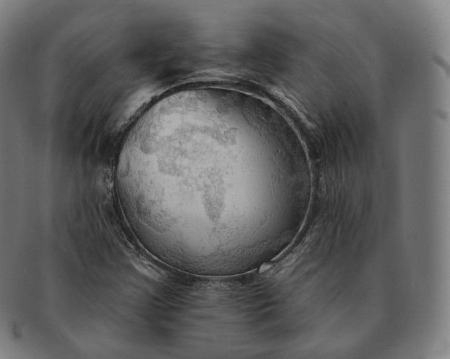 X0000091291355200708241020