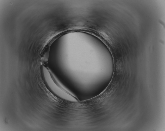 X0000091291356200708241020