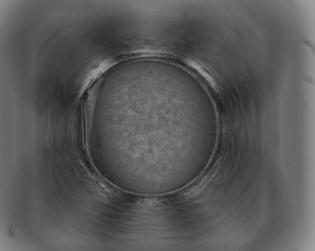 X0000091291357200708241020