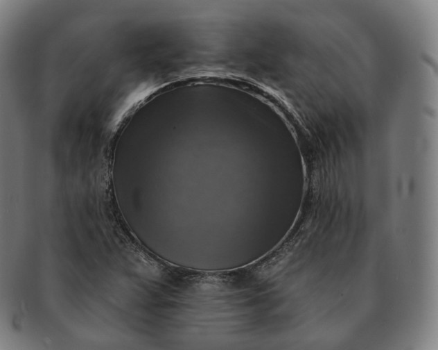 X0000091291359200708241020