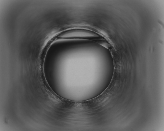 X0000091291360200708241019