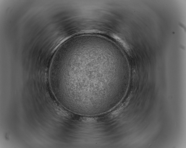 X0000091291361200708241019