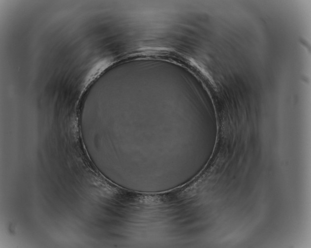 X0000091291362200708241019