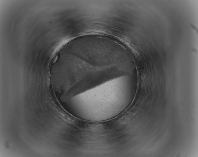 X0000091291363200708241019