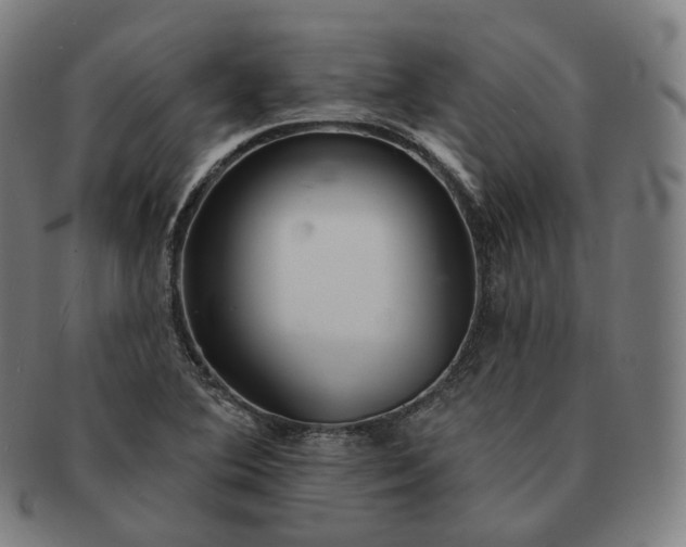 X0000091291364200708241019