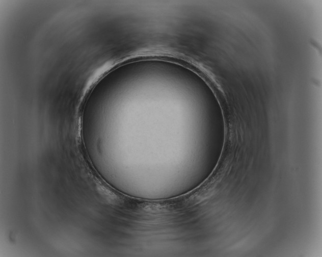 X0000091291366200708241019