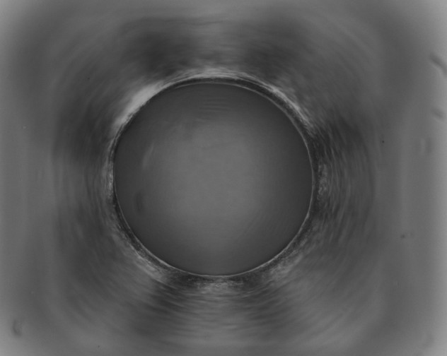 X0000091291367200708241019