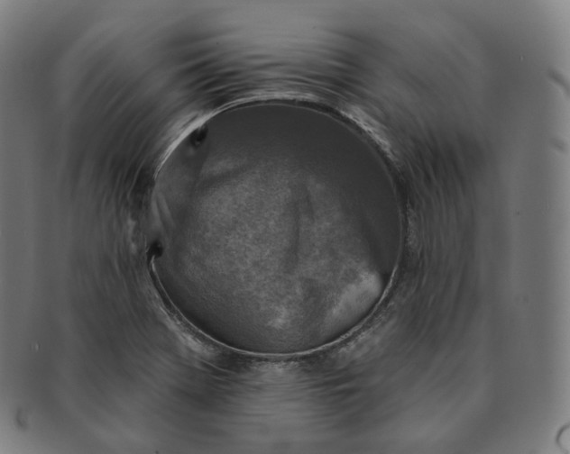 X0000091291369200708241019