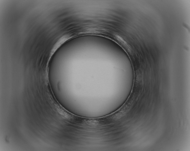 X0000091291370200708241019