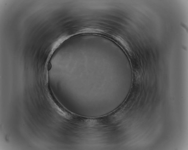 X0000091291371200708241019