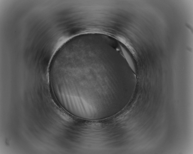 X0000091291372200708241019