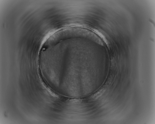 X0000091291373200708241019