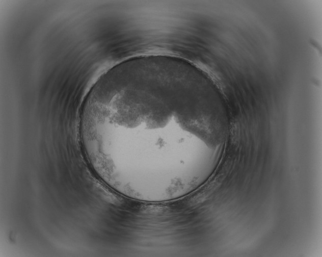 X0000091291374200708241019