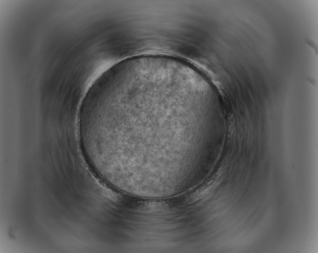 X0000091291375200708241019