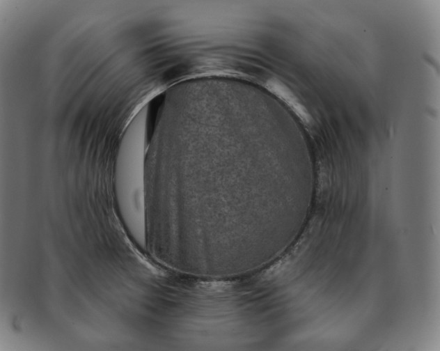 X0000091291377200708241019