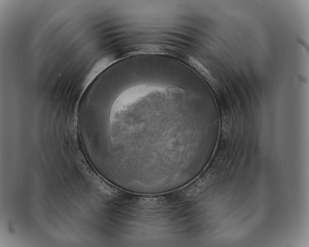 X0000091291378200708241019