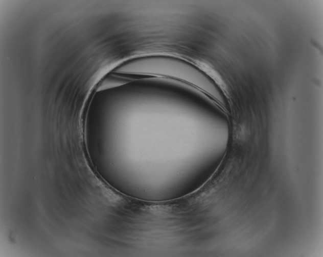 X0000091291380200708241019