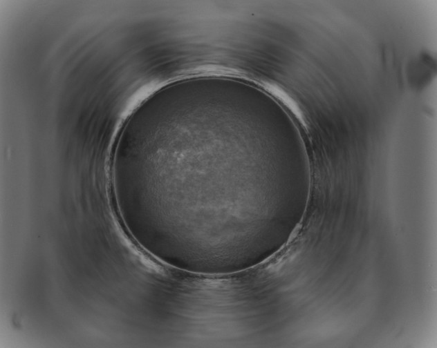 X0000091291381200708241019