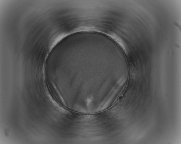 X0000091291382200708241019