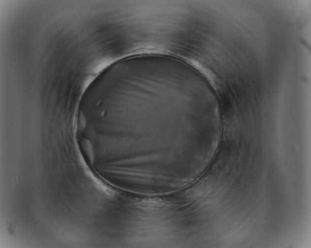 X0000091291383200708241019