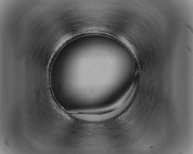 X0000091291384200708241019