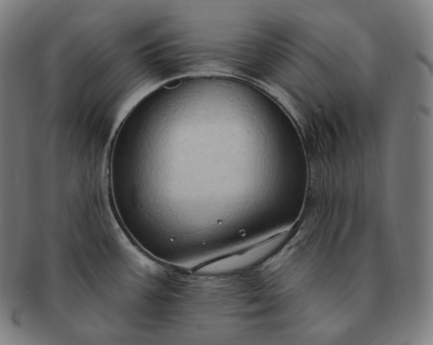 X0000091291387200708241019