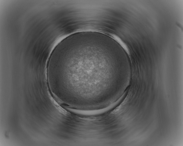 X0000091291388200708241019