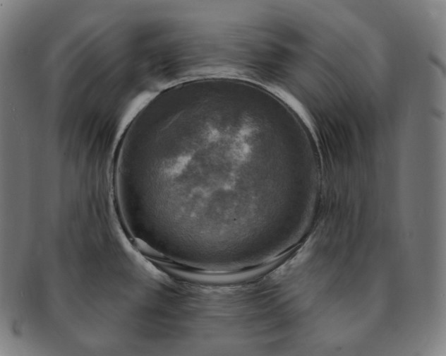 X0000091291389200708241019