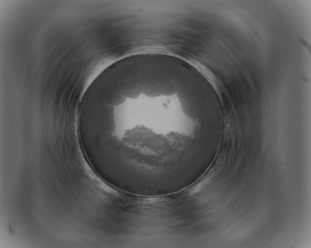 X0000091291390200708241019