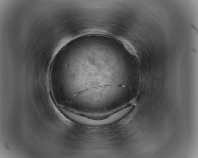 X0000091291391200708241019