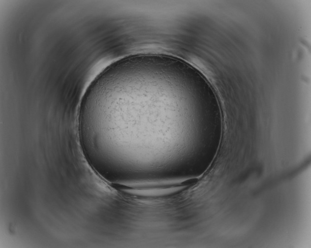 X0000091291392200708241019