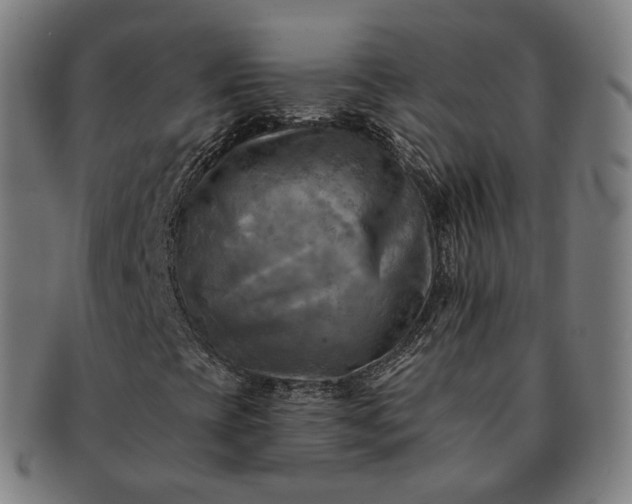 X0000091291393200708241018